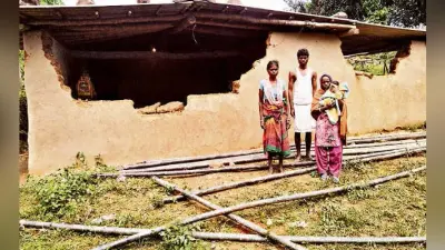 ओरमांझी : नगड़ीजारा में 18 हाथियों के झुंड ने मचाया उत्पात, कई घरों को तोड़ा, फसलें रौंदी
