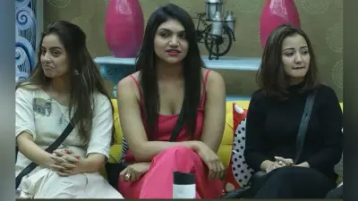 Bigg Boss 12: शिवाशिष को कृति ने पूल में धकेला, माइक हुआ खराब, मिली सजा, VIDEO