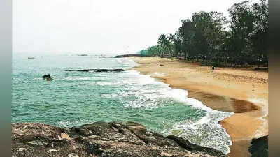 नये साल के जश्न के लिए हो जाइए तैयार