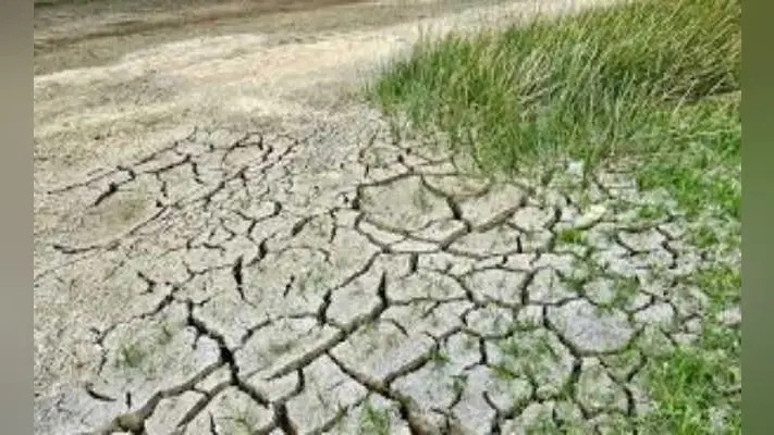 2.38 लाख हेक्टेयर में नहीं मिला सिंचाई का पानी