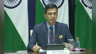 पाकिस्तान दूसरों को न बताए अल्पसंख्यकों का ध्यान कैसे रखते हैं: विदेश मंत्रालय