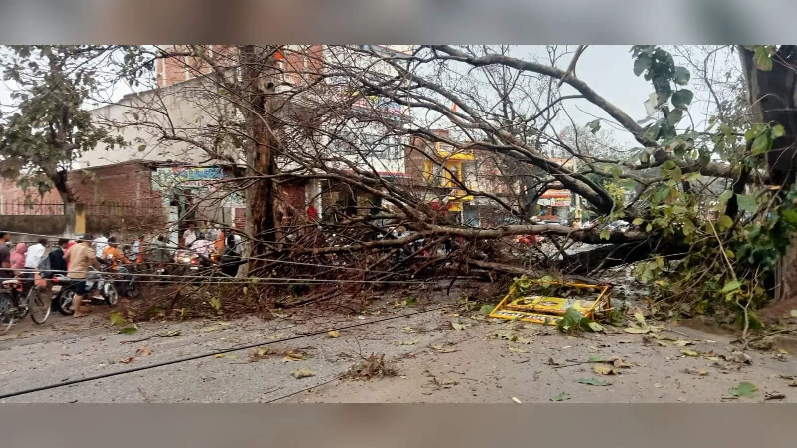 गढ़वा में आंधी से पेड़ गिरा, बाल-बाल बचे लोग, दो घंटे आवागमन बाधित