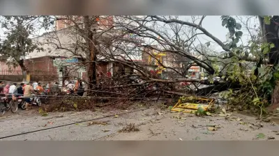 गढ़वा में आंधी से पेड़ गिरा, बाल-बाल बचे लोग, दो घंटे आवागमन बाधित