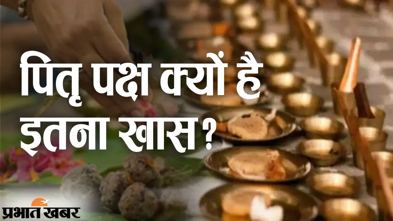 Pitru Paksha 2022: पितृपक्ष के दौरान क्या करें और क्या न करें को लेकर है कन्फ्यूजन, तो ये पढ़ करें दूर