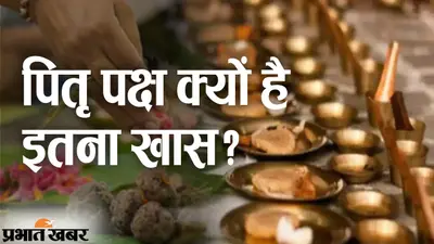 Pitru Paksha 2022: पितृपक्ष के दौरान क्या करें और क्या न करें को लेकर है कन्फ्यूजन, तो ये पढ़ करें दूर