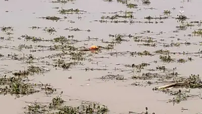 कोरोना की दूसरी लहर के दौरान कितने शव गंगा में फेंके गये इसका कोई आंकड़ा उपलब्ध नहीं : केंद्र सरकार