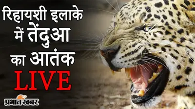 VIDEO: बंगाल के सिलीगुड़ी के रिहायशी इलाके में तेंदुए का आतंक, काफी मशक्कत के बाद बचाने में मिली सफलता