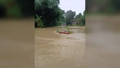 मुख्य मार्गों पर बह रहा तीन से चार फीट पानी, कई प्रखंडों का संपर्क मुख्यालय से कटा