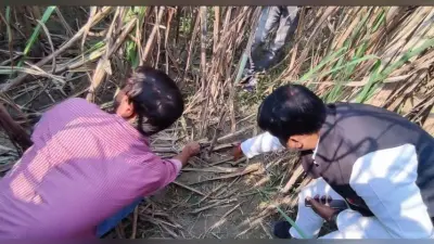 पीलीभीत में गन्ने के खेत से छात्रा का शव बरामद, सामूहिक दुष्कर्म की आशंका, जांच जारी