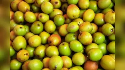 Ber Benefits For Health: बेर खाने के हैं अनेकों फायदे…