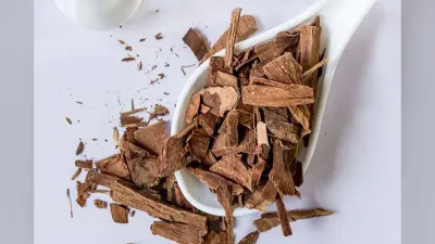 Arjun Chhal Benefits: डायबिटीज ही नहीं इन बीमारियों के लिए भी फायदेमंद है अर्जुन की छाल