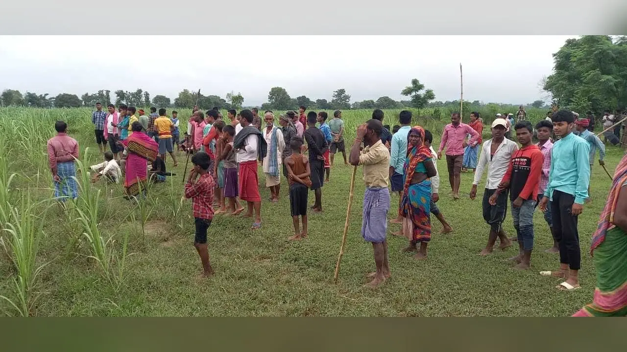 बाल्मीकि टाइगर रिजर्व से गांव की ओर निकला बाघ, हमले से 28 वर्षीय युवक की मौत, लोगों में दहशत