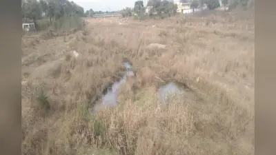 Environmental Clearance Rejection: गेरुआ नदी बालू घाट के पर्यावरणीय मंजूरी प्रस्ताव को एसईआईएए ने किया अस्वीकृत, बालू उठाव पर लगी रोक