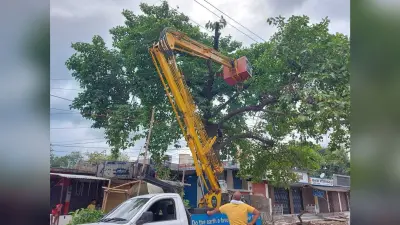 Cyclone Yaas की आंधी में भी बिहार में इन जगहों से गुल नहीं होगी बिजली, जानिए सरकार की तैयारी