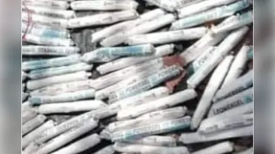WB News : नलहाटी में परित्यक्त खदान से मिले ढेर सारे विस्फोटक, मचा हड़कंप