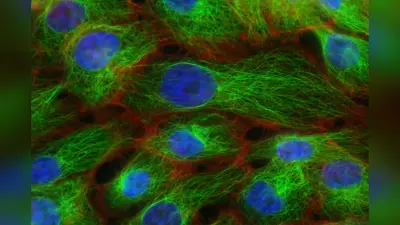 Cancer Treatment: अब 100 रुपये में होगा कैंसर का इलाज ! टाटा मेमोरियल ने किया यह दावा