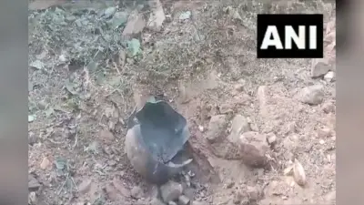 Naxal Attack: छत्तीसगढ़ के दंतेवाड़ा में आईईडी ब्लास्ट, चपेट में आए दो सीआरपीएफ जवान
