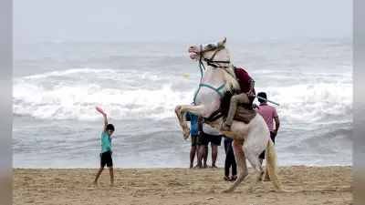 पर्यटकों का पसंदीदा गंतव्य बने भारत