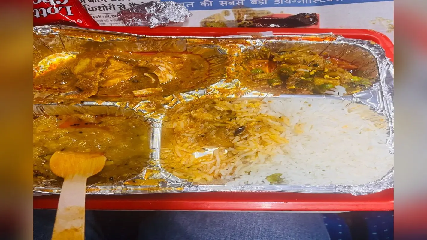 वंदे भारत एक्सप्रेस में यात्री को भोजन में मिला मरा हुआ कॉकरोच, इंडियन रेलवे ने दिया जवाब, तस्वीरें वायरल