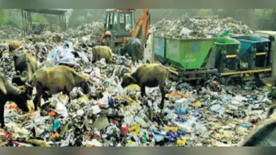 देवघर : सरकारी बस डिपो स्थित कचरा ट्रांसफर स्टेशन बना मुसीबतों का जंजाल