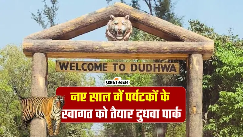 Happy New Year 2024: नए साल में दुधवा फुल, होटल और रिजॉर्ट के किराए में तीन गुणा वृद्धि, VIDEO