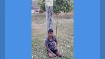 पूर्वी सिंहभूम : छेड़खानी के आरोप में युवक को बांधकर पीटा, चाकुलिया में हाथियों का उत्पात जारी