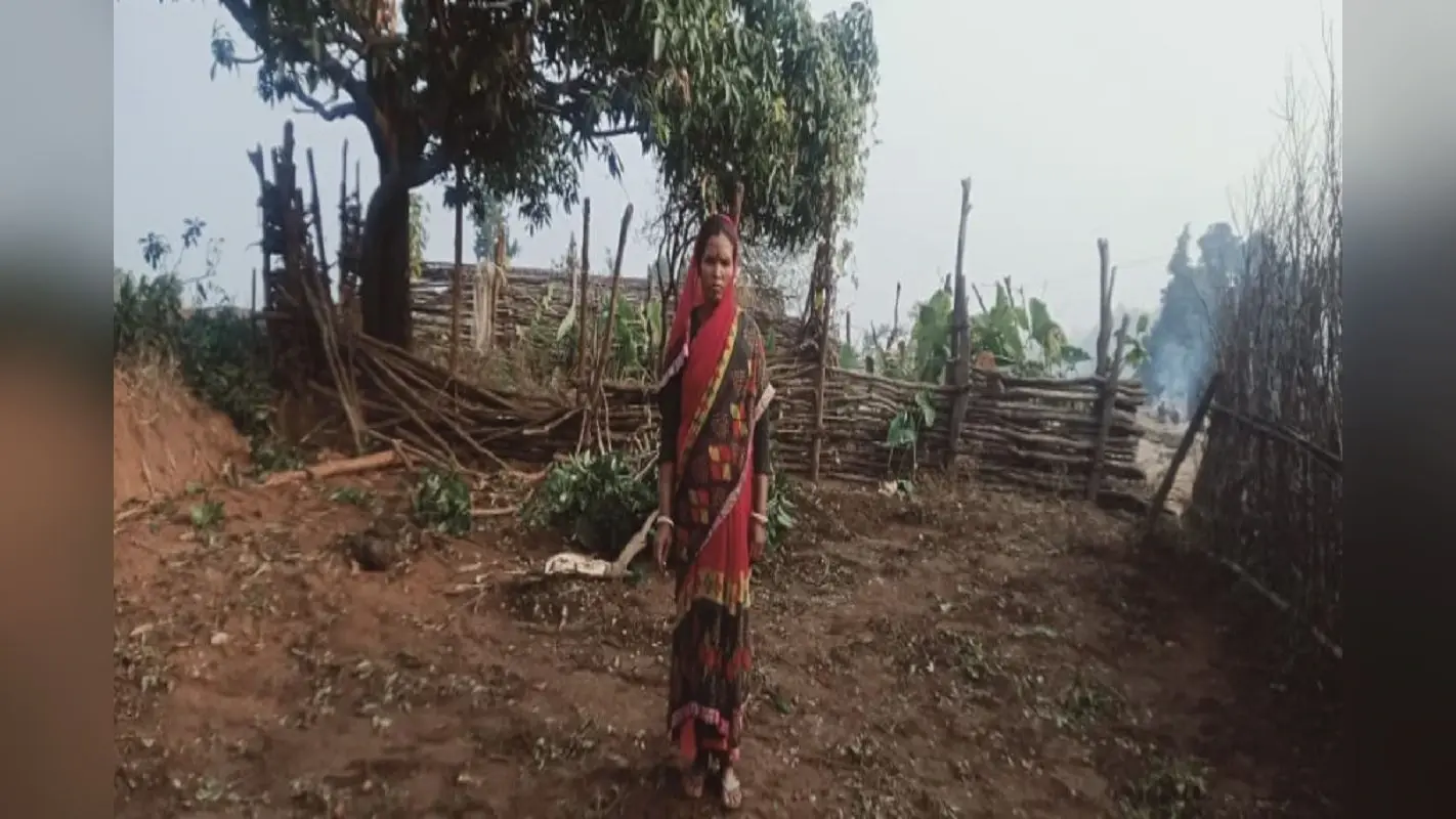 बोकारो में जंगली हाथियों के झुंड ने मचाया उत्पात, किसी का घर तोड़ा तो किसी के फसलों को बनाया निवाला