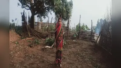 बोकारो में जंगली हाथियों के झुंड ने मचाया उत्पात, किसी का घर तोड़ा तो किसी के फसलों को बनाया निवाला