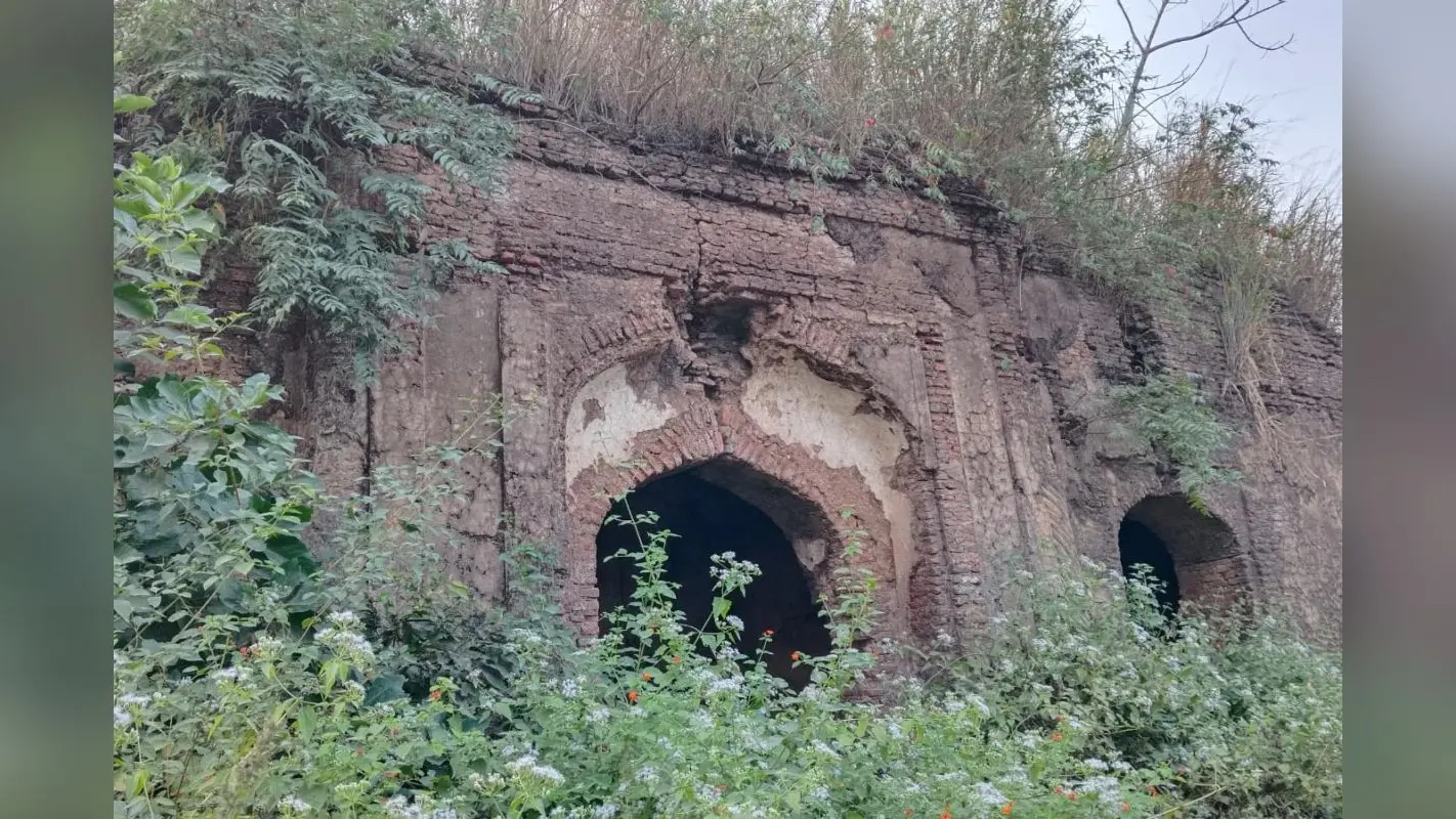 साहिबगंज : अस्तित्व खोता जा रहा ऐतिहासिक तेलियागढ़ी किला