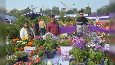 बागवानी महोत्सव: यहां मिल रहा मशरूम के लड्डू, जानें क्यों चर्चा में है सात फुट के केले का घवद