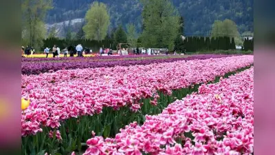 Garden Tourism Festival 2024: राजधानी दिल्ली में आज से शुरू हो गया गार्डन टूरिज्म फेस्टिवल, जानें टिकट और टाइमिंग