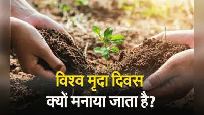 Video: World Soil Day 2023, विश्व मृदा दिवस का इतिहास और महत्व के साथ जाने क्या है इस साल की थीम