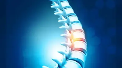 Health Tips: हड्डियों को बनाना है मजबूत, तो अभी से शुरू कर दें ये 6 हेल्दी ड्रिंक्स को पीना