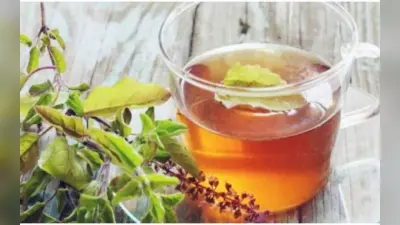 Health Tips: कई बीमारियों को जड़ से खत्म करता है तुलसी का काढ़ा, जानें इससे होने वाले 6 फायदों के बारे में