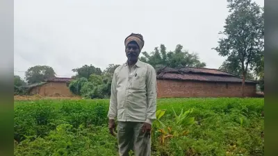 पलामू : चक्रवात मिचौंग से दूसरे दिन भी जनजीवन अस्त-व्यस्त, खेत-खलिहान में पड़ी धान की फसल खराब होने की आशंका