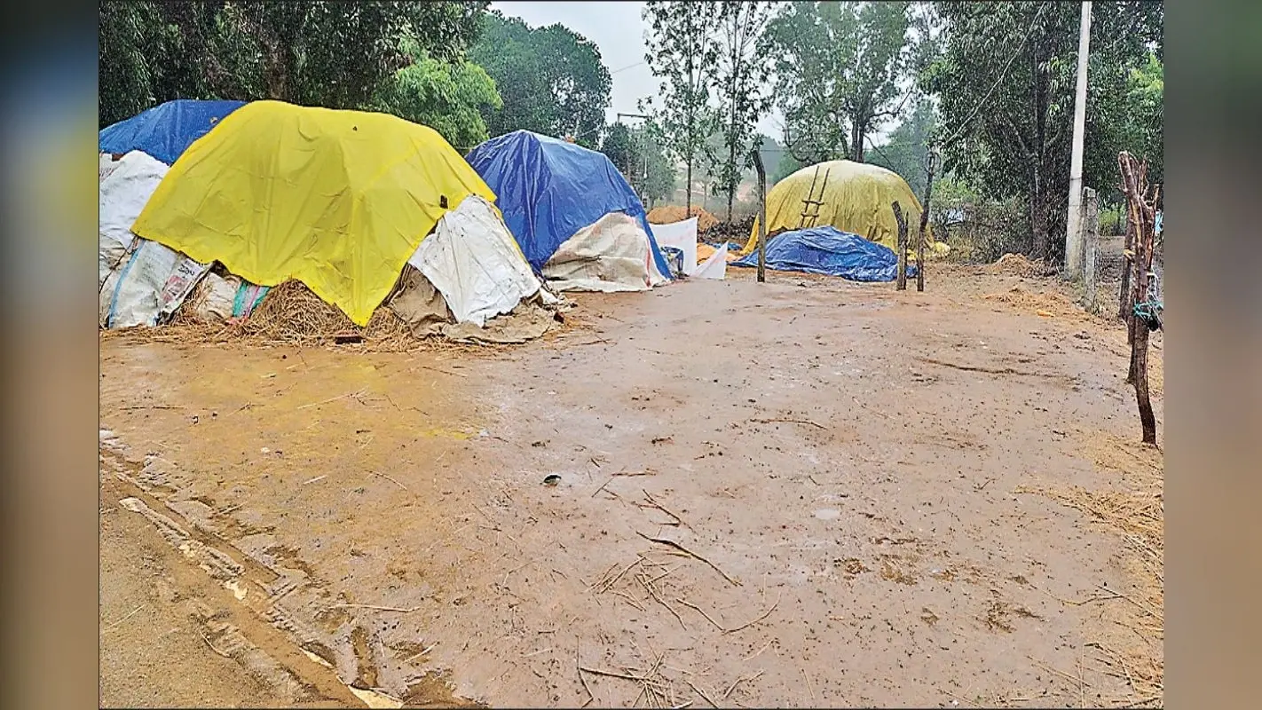 Weather Forecast: झारखंड में बर्बादी के निशान छोड़ गया तूफान मिचौंग, अब इस दिन से पड़ेगी जबरदस्त ठंड