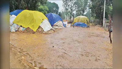 Weather Forecast: झारखंड में बर्बादी के निशान छोड़ गया तूफान मिचौंग, अब इस दिन से पड़ेगी जबरदस्त ठंड