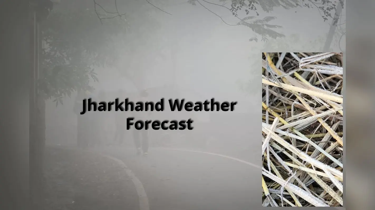 Jharkhand Weather: गिरा चार डिग्री पारा, जम गईं पुआल पर गिरी ओस की बूंदें, अभी राहत नहीं, बारिश के भी आसार