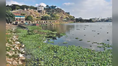झारखंड : फिल्टरेशन के बाद भी डैमों से मिल रहा हरा पानी, जार वाले पानी की खपत बढ़ी