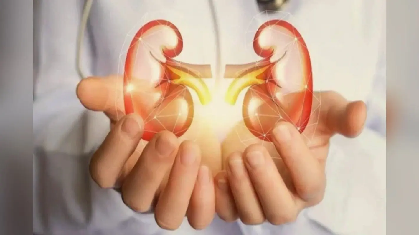 Kidney health: किडनी की सेहत का ख्याल कैसे रखें