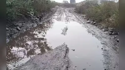 मिचौंग का असर : झारखंड में हुई झमाझम बारिश, ठंड से ठिठुर रहे लोग, जानें कब तक होगी वर्षा