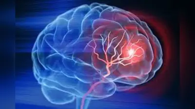 Nithin Kamath Mind Stroke: जेरोधा के फाउंडर और CEO नितिन कामत को आया माइल्ड स्ट्रोक, जानें इसके पीछे का कारण