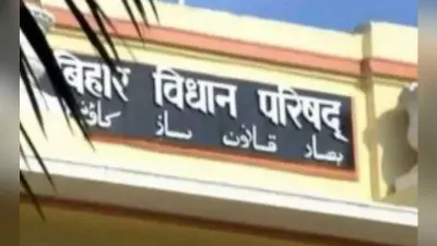 MLC चुनाव: सपा और BJP के बीच कड़ा मुकाबला, इलाहाबाद-कौशाम्बी से सपा प्रत्याशी वासुदेव ने किया नामांकन