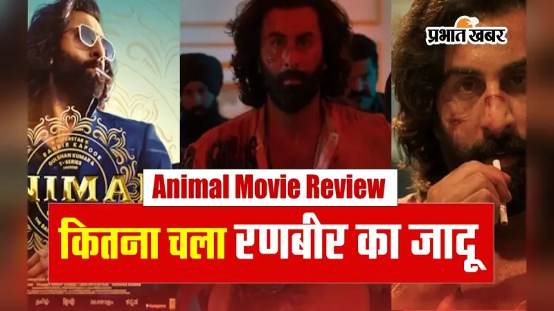 Animal Movie Review: थियेटरों में गदर मचा रही है रणबीर कपूर की फिल्म, यहां जानें एनिमल का पूरा रिव्यू