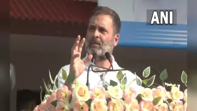 Rahul Gandhi: विदेश में राहुल गांधी के दिए बड़े बयान, जिससे बौखला गई थी बीजेपी