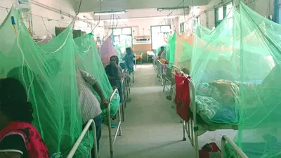 पटना में डेंगू का कहर, दर्जन भर मोहल्ले बने हॉट स्पॉट, पार्क जाने से कतराने लगे लोग