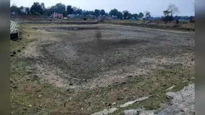 साहिबगंज : सरकारी तालाब की मिट्टी बेचने का आरोप, सीओ ने दिया जांच का आदेश