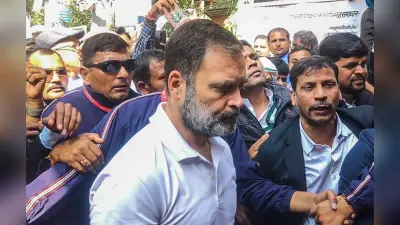 ‘भारत जोड़ो न्याय यात्रा’ को कुछ विराम देकर राहुल गांधी जाएंगे लंदन, जानें जयराम रमेश ने क्या कहा