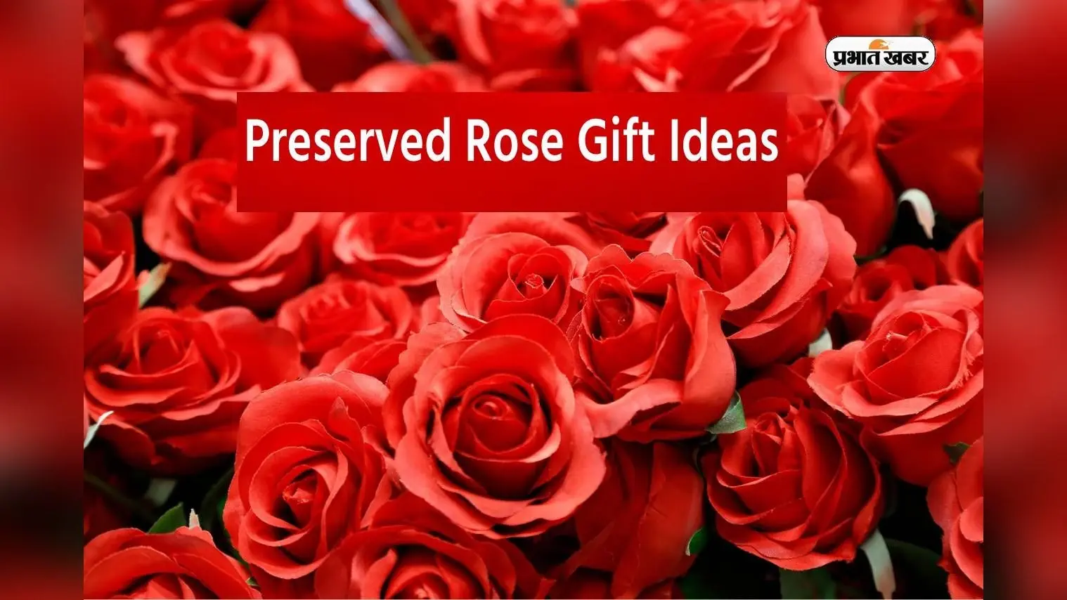 Rose Day 2024: प्रिजर्व करके रखें रोज डे का गुलाब, ऐसे बना सकते हैं गिफ्ट