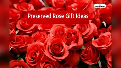 Rose Day 2024: प्रिजर्व करके रखें रोज डे का गुलाब, ऐसे बना सकते हैं गिफ्ट